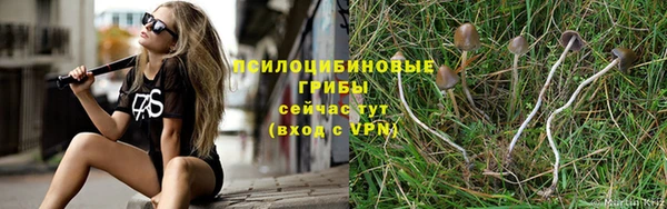 мет Богородицк